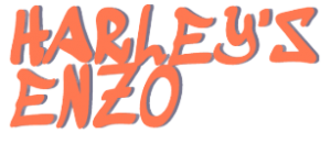 Harley’s Enzo Wheels Harley