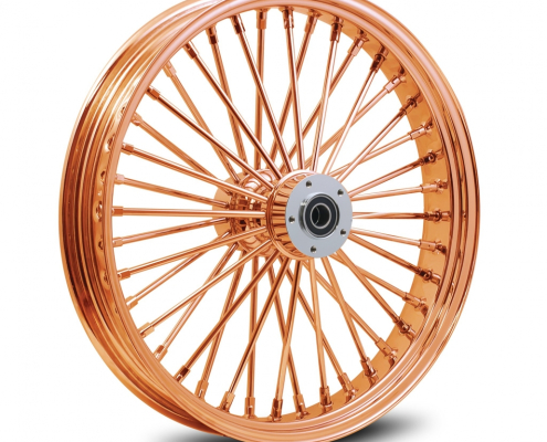 mammoth Fat Spoke Wielen 21 inch Dual Disc