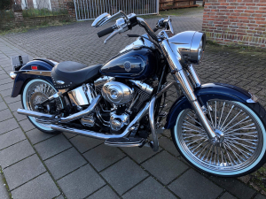 DNA 21 Inch Mammoth Wheels 21 front 18 inch rear 52 Spokes DNA 21 Inch Mammoth Wheels 21 front 18 inch rear 52 Spokes (3)